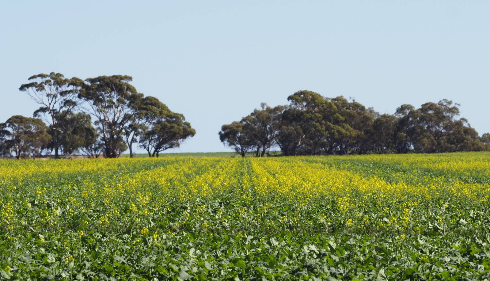 Privately Owned Farms